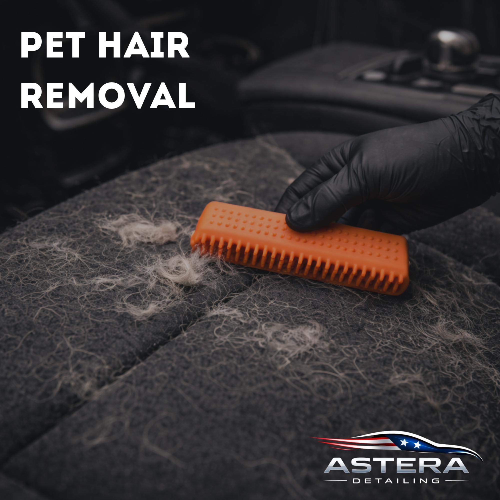 Pet Hair Removal